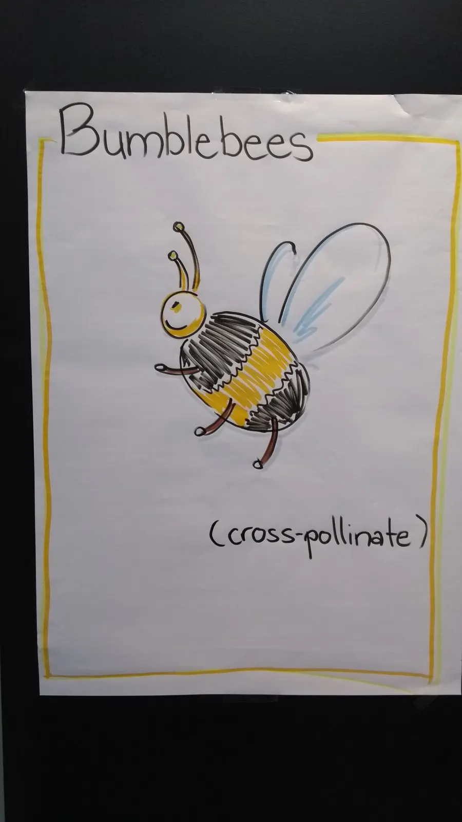 Poster “Bumblebees (cross-pollinate)” with a drawn bumblebee