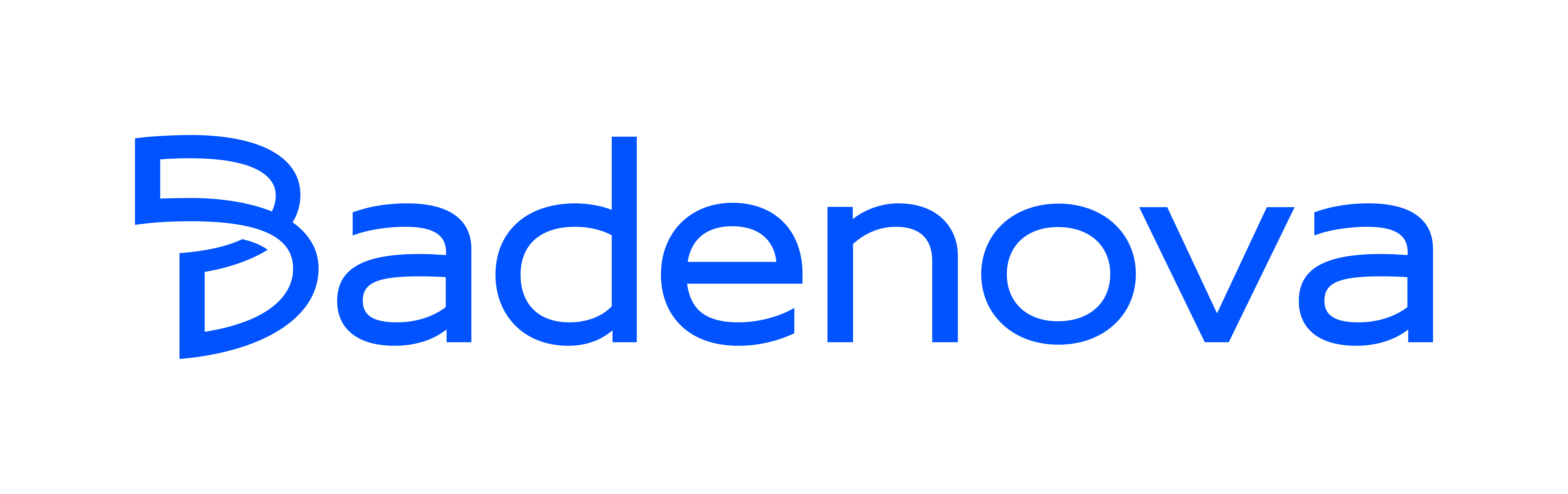 Badenova Logo